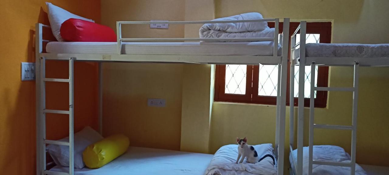 Red Monkeys Hostel Arambol Extérieur photo